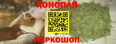 стаф Чебаркуль
