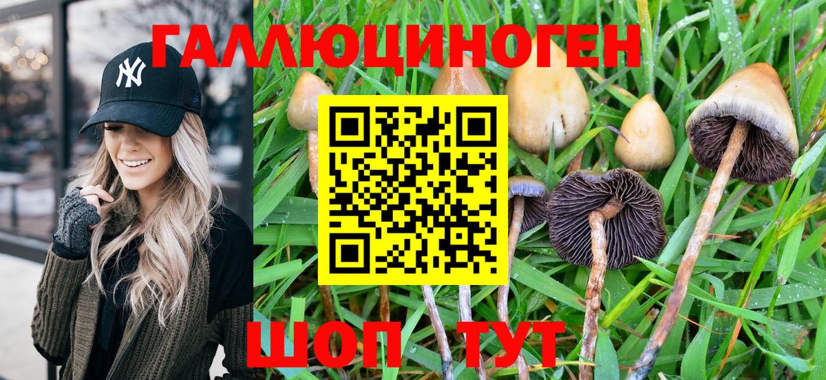 Псилоцибиновые грибы Psilocybine cubensis  Вход с VPN  купить наркотик  Пушкино 